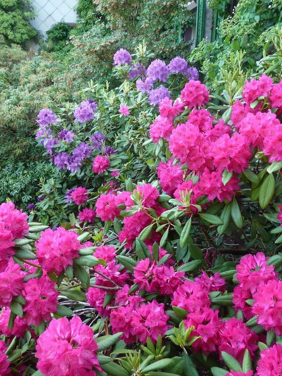Bed and Breakfast Gastehaus Zum Tulpenbaum Turbenthal Zewnętrze zdjęcie