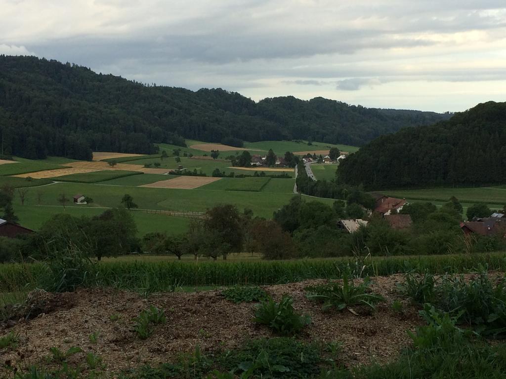 Bed and Breakfast Gastehaus Zum Tulpenbaum Turbenthal Zewnętrze zdjęcie